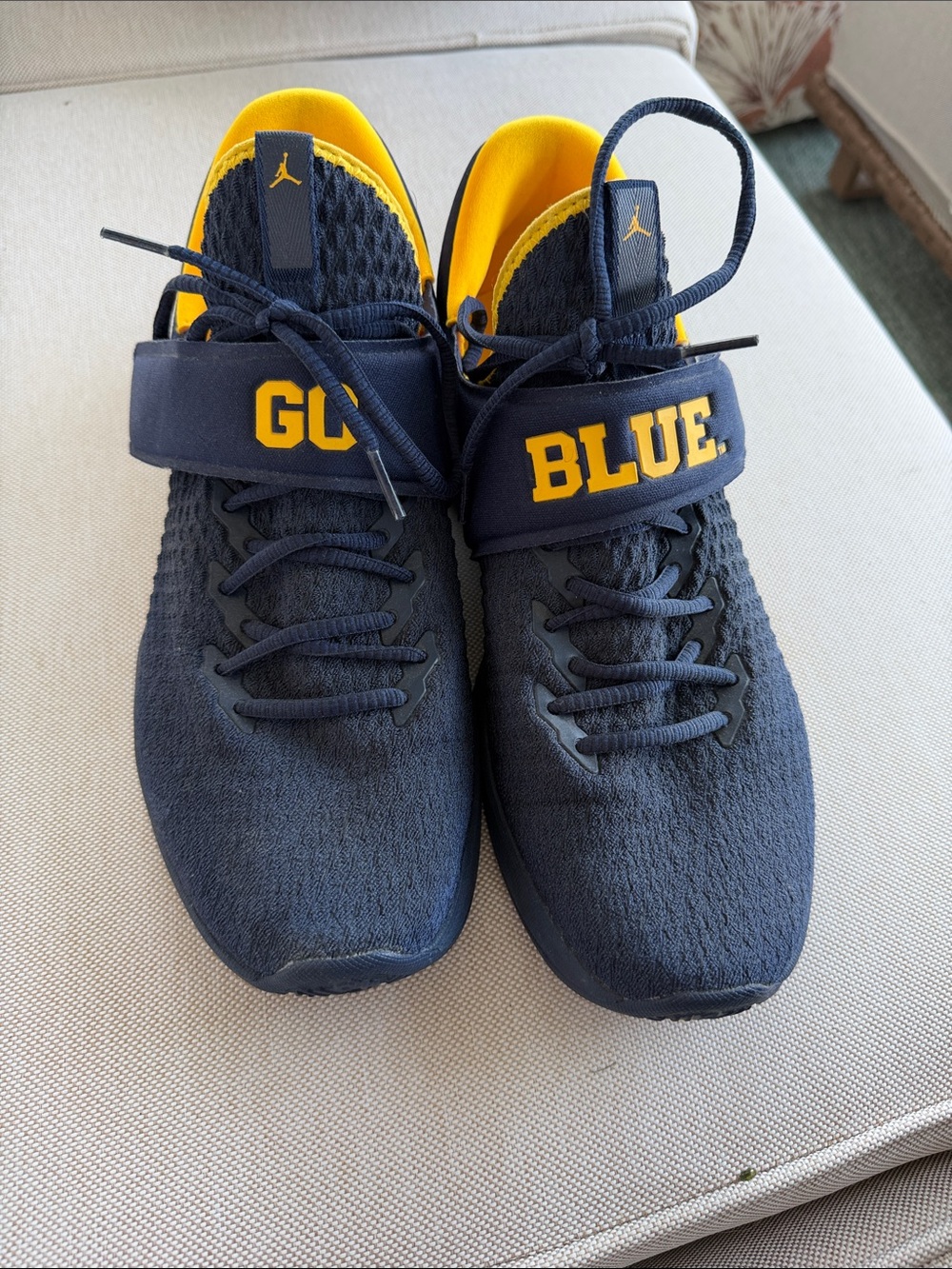 Jordan Navy and Yellow GO BLUE Strap Sneakers